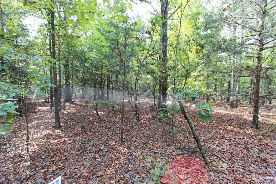 More Photos Of 226 Blythe rd, Greenbrier Land For Sale