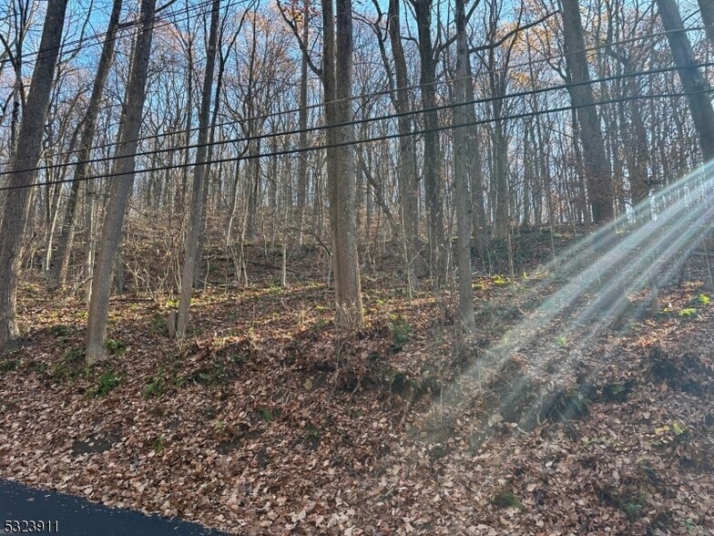 Primary Photo Of 120 Millbrook Rd, Washington Land For Sale