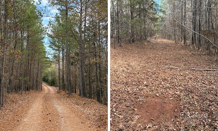 More Photos Of 00 Painter Road Rd, Pelzer Land For Sale