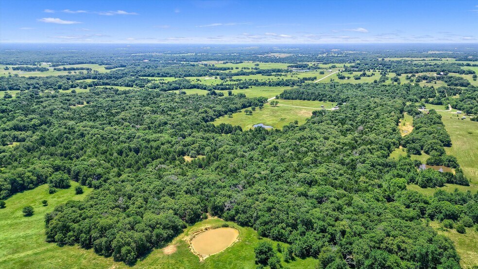 More Photos Of TBD CR 113, Whitesboro Land For Sale