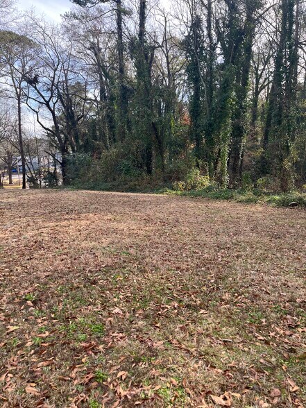 More Photos Of 2528 Candler rd, Decatur Land For Sale
