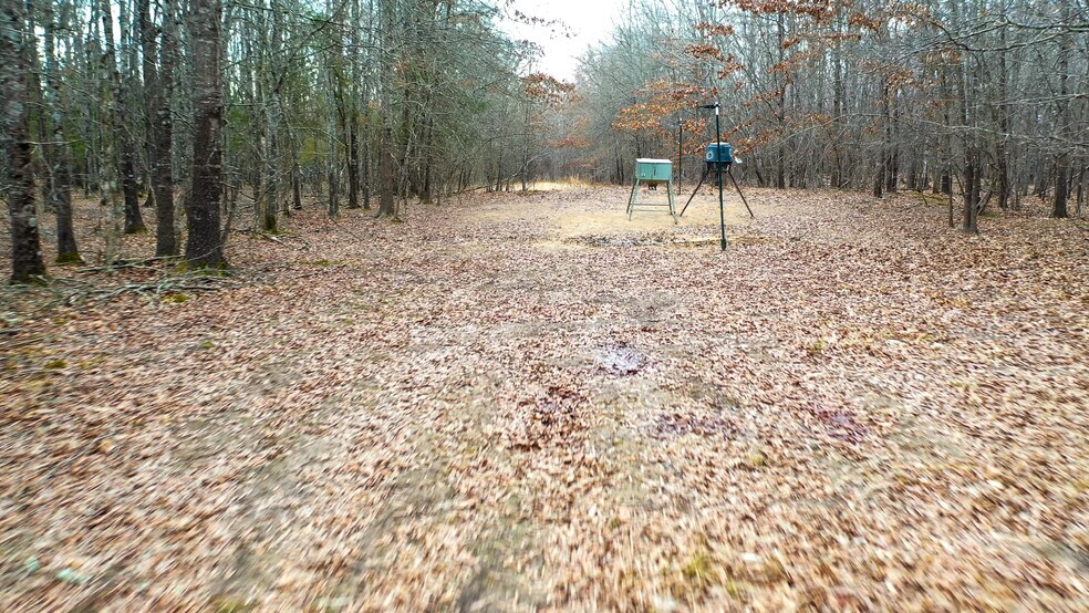 More Photos Of 1200 County 1255 rd, Detroit Land For Sale