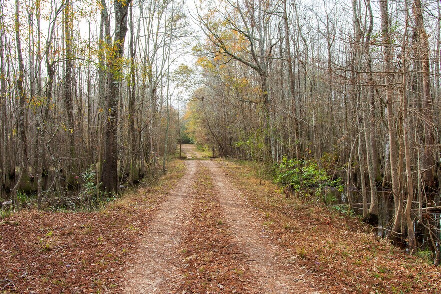 More Photos Of 409 Windward Ave, Orangeburg Land For Sale