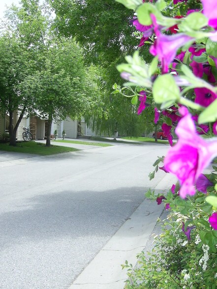 More Photos Of , Calgary Multifamily For Sale