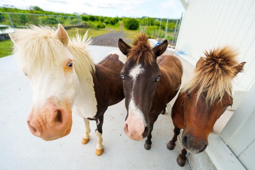 More Photos Of 17-4150 Huina Rd., Kurtistown Land For Sale