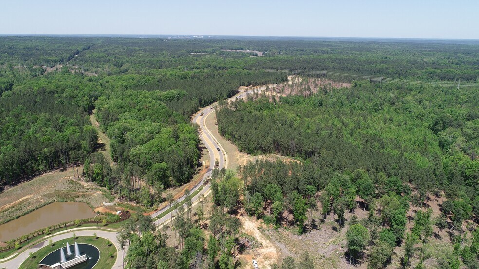 More Photos Of 301 Brighton Blvd, Chapin Land For Sale