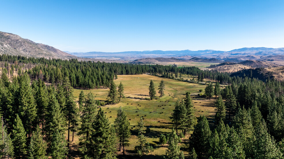 Primary Photo Of 19320 CA-89, Markleeville Land For Sale