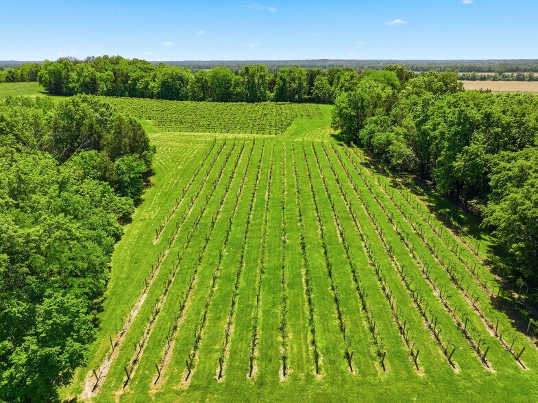More Photos Of 15088 Boone Monument Rd, Marthasville Lodge Meeting Hall For Sale