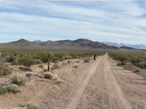More Photos Of 691 Desert Trail Way, Tecopa Winery Vineyard For Sale