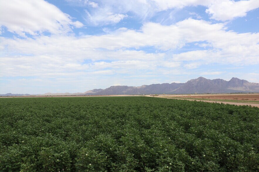 More Photos Of 501 N. Highway 87, Eloy Land For Sale