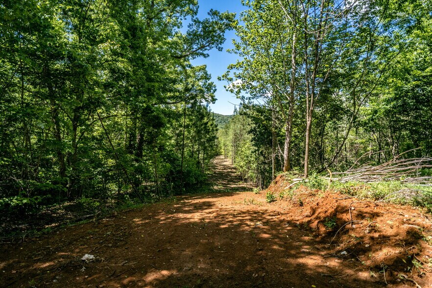 More Photos Of tbd Green Creek Rd, Schuyler Land For Sale