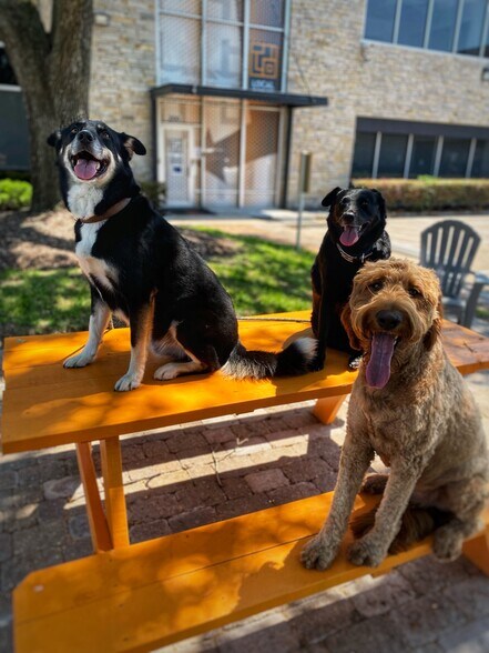 More Photos Of 4909 Bissonnet St, Bellaire Medical For Lease