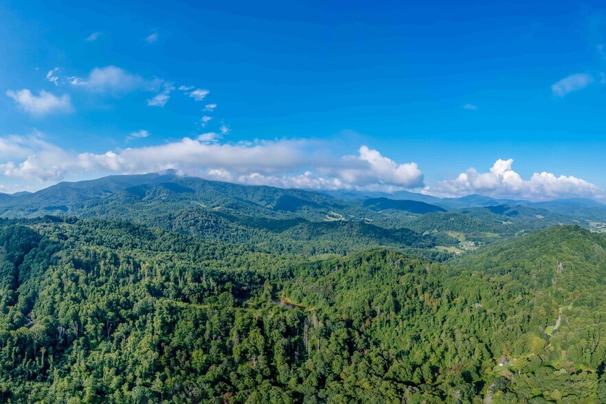 More Photos Of 306 Bear Branch rd, Roan Mountain Land For Sale