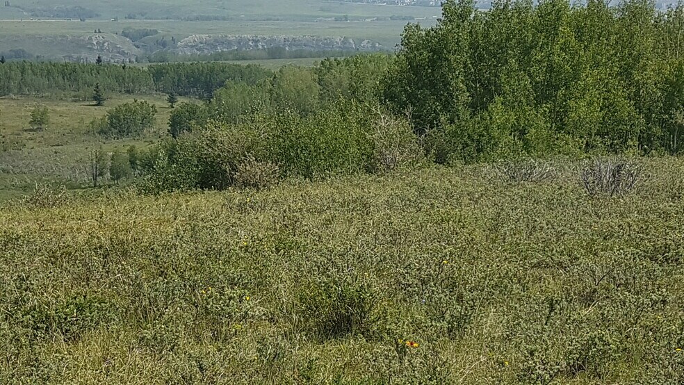 More Photos Of 1 Bow River, Rocky View No 44 Land For Sale
