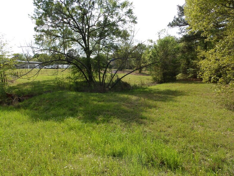 More Photos Of 19522 HWY 155, Flint Land For Sale
