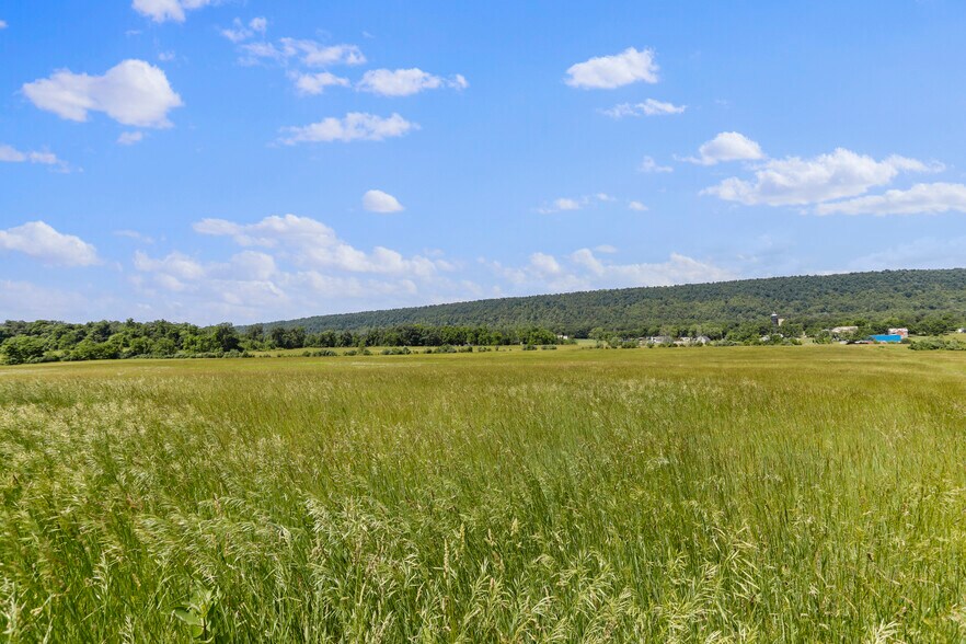 More Photos Of 3648 Dominion Rd, Gerrardstown Land For Sale