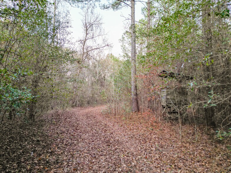 More Photos Of 9036 Bullard Rd, Dry Branch Lodge Meeting Hall For Sale