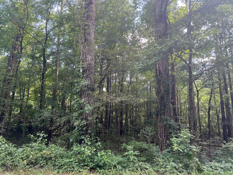 More Photos Of Hwy 411 & Maxwell Rd, Rydal Land For Sale