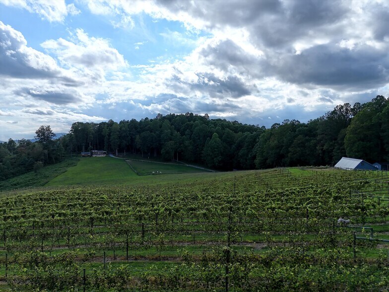 More Photos Of 781 Payne dr, Zirconia Land For Sale