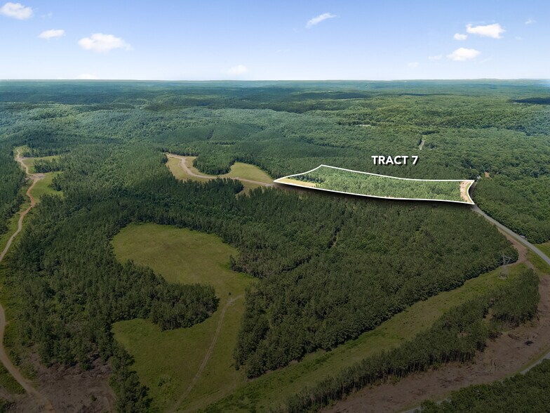 More Photos Of 1420 Big Swan Creek Rd, Summertown Land For Sale