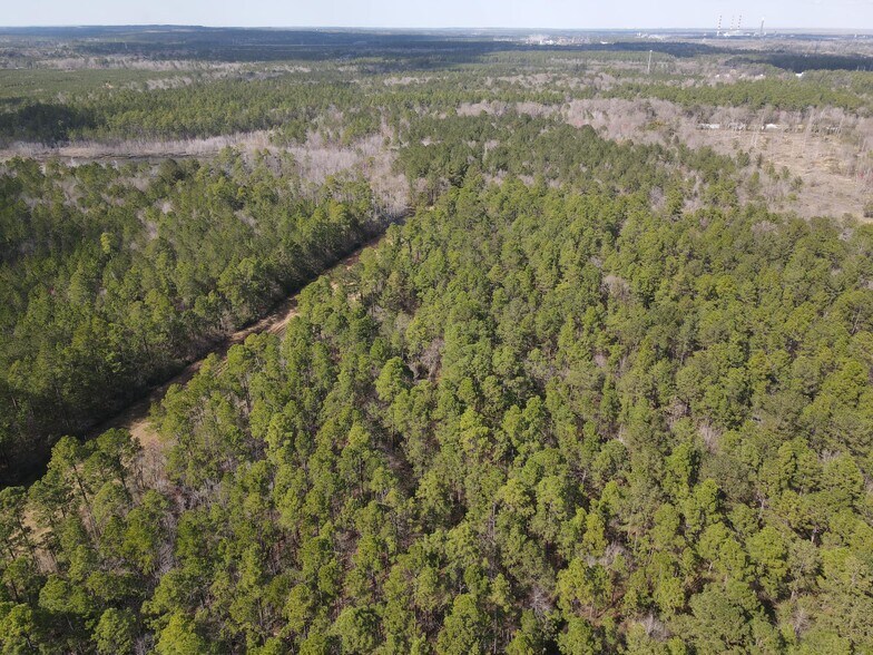 More Photos Of 0 Highway 43 N., Axis Land For Sale