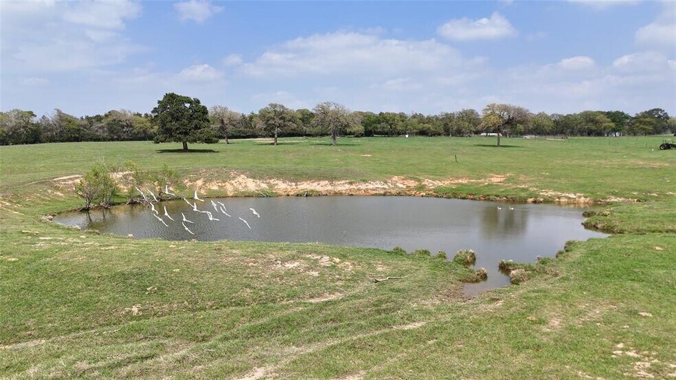 More Photos Of 2792 FM 535, Rosanky Land For Sale