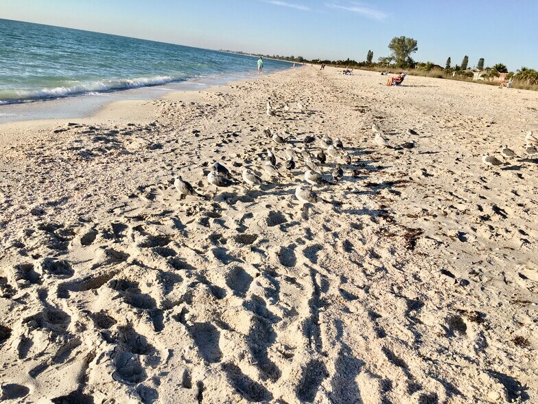 More Photos Of 1900 Manasota Beach Rd, Englewood Apartments For Sale
