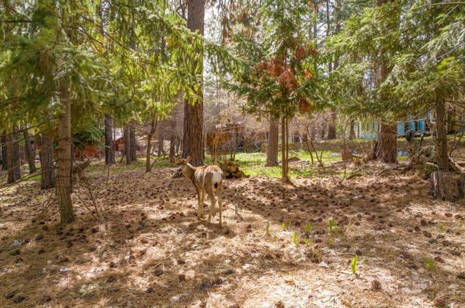 More Photos Of 19077 Choctaw Rd, Bend Land For Sale