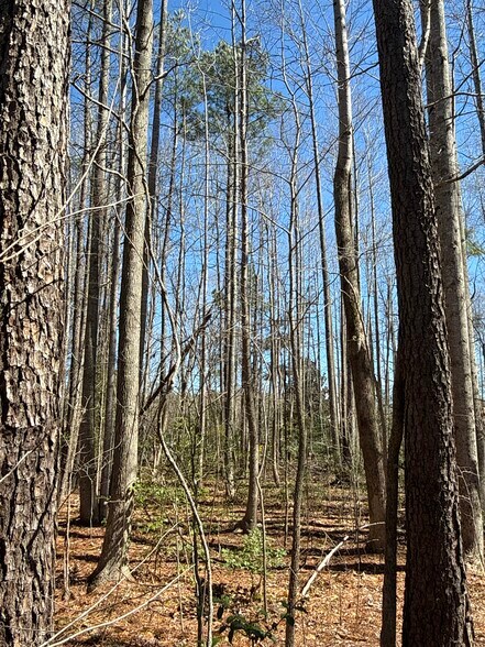 More Photos Of Magnolia Woods Ct, Quinton Land For Sale