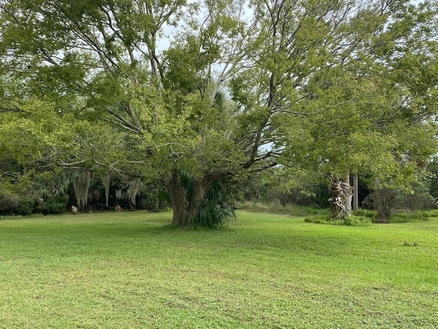 More Photos Of 95008 Frank Ward -1, Fernandina Beach Land For Sale