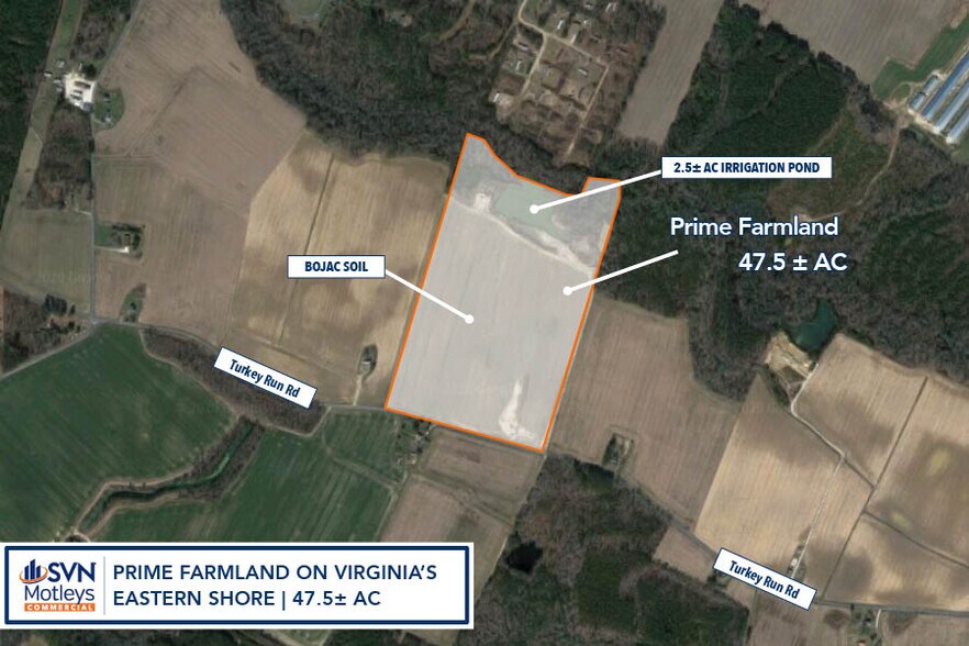 Primary Photo Of 28129 Turkey Run Rd, Bloxom Land For Sale