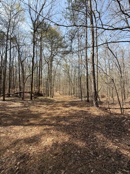 More Photos Of Sugar Creek Trail, Buckhead Morgan Land For Sale