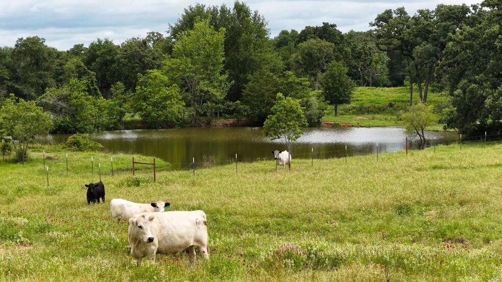 More Photos Of 632 County Road 340A, Milano Land For Sale