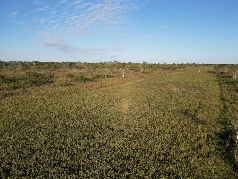 More Photos Of Land (County Rd 220 Angleton, TX 77515) | 197 acres, Angleton Land For Sale