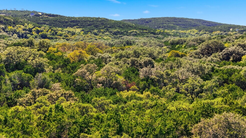 More Photos Of 446 County Road 2763, Mico Land For Sale