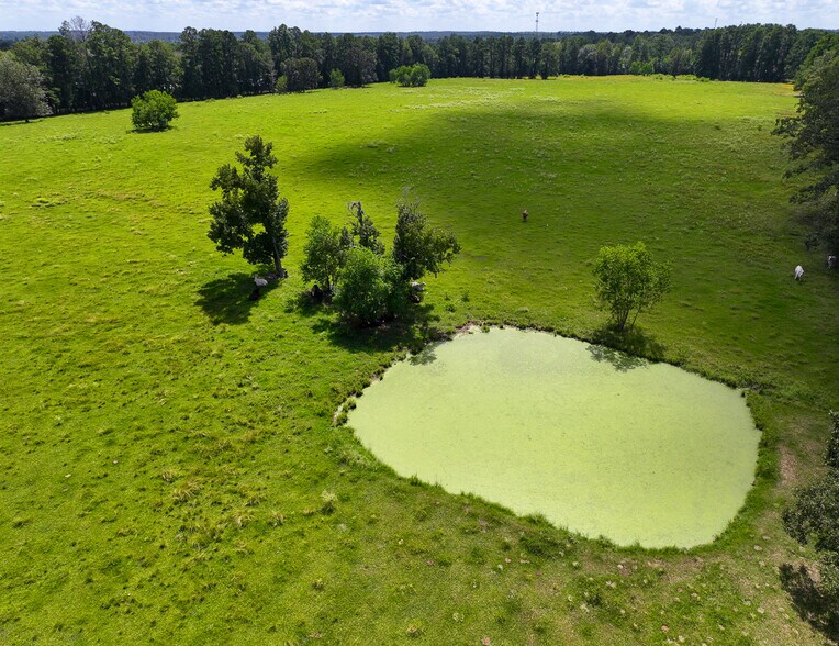 More Photos Of 567 Tamie Lowe rd, Moscow Land For Sale