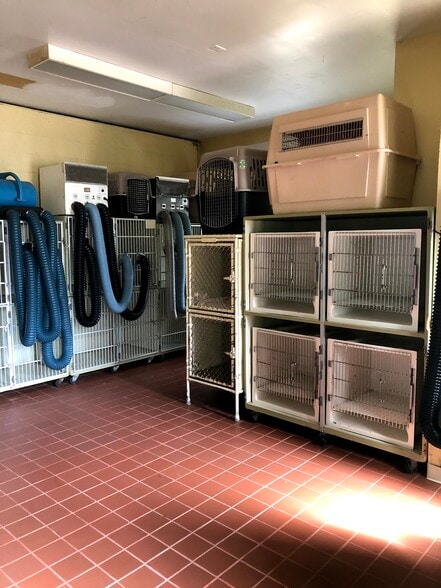 More Photos Of , Derby Unknown For Sale