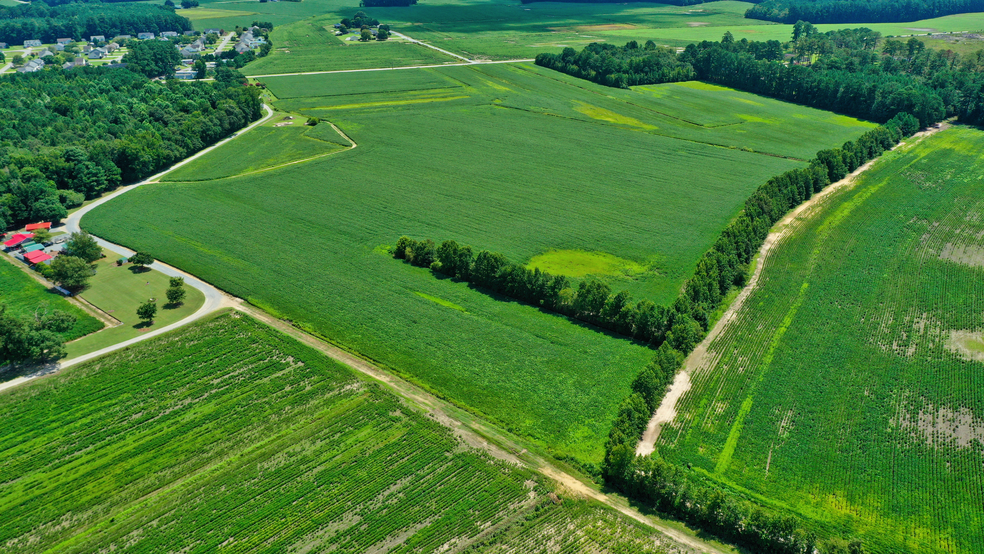 Primary Photo Of 0 Peedin Road, Pine Level Land For Sale