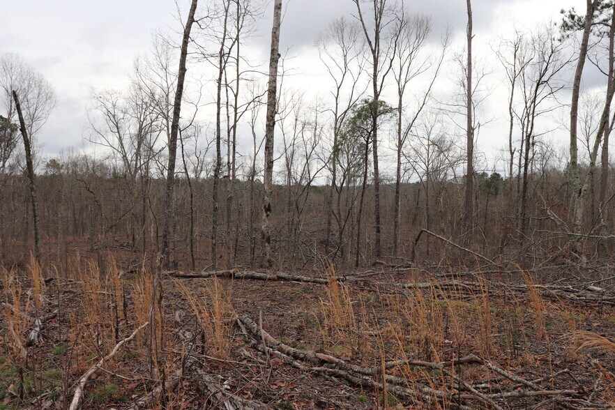 More Photos Of Knox Bridge Hwy @ Knox Bridge & Ficklen Church Hwy, Canton Land For Sale