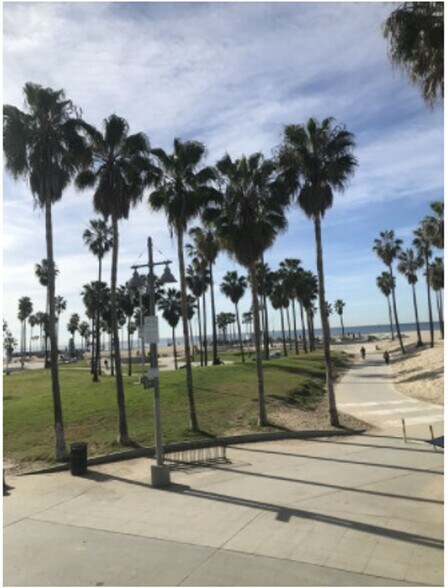More Photos Of 1313 Ocean Front Walk, Venice Apartments For Lease