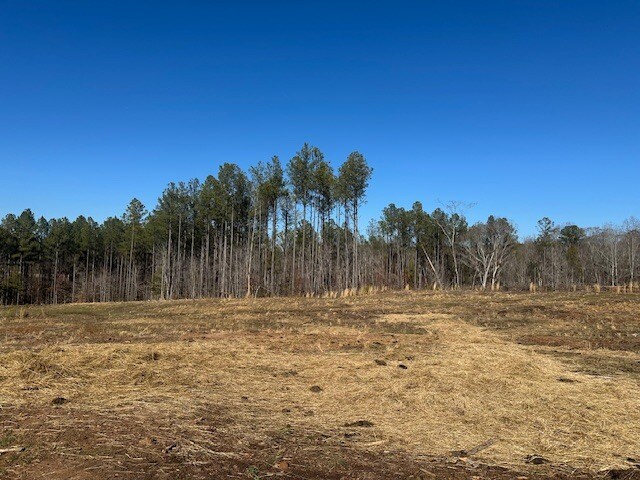 More Photos Of 693 Elledge Road, Ware Shoals Land For Sale