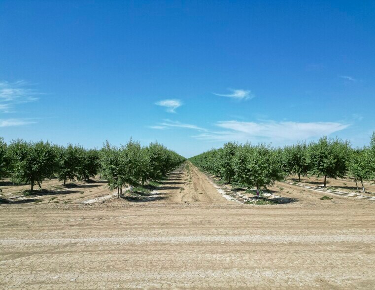 More Photos Of Oakland @ Lassen Avenue, Five Points Land For Sale
