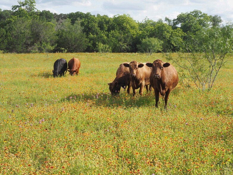 More Photos Of Ranch to Market 1431, Jonestown Land For Sale