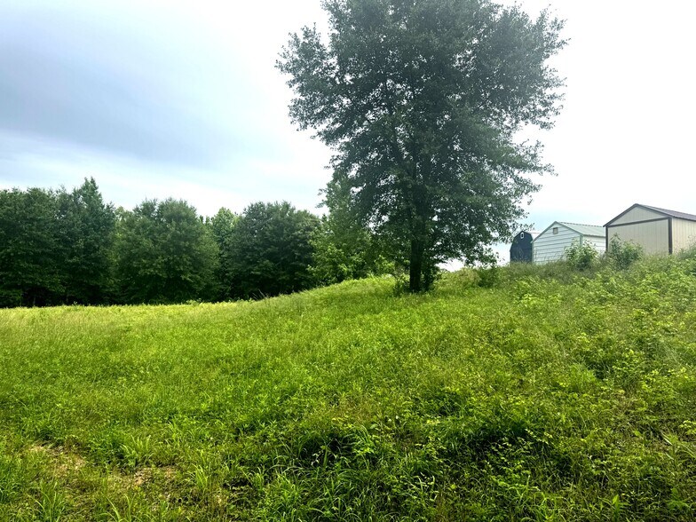 More Photos Of 6175 TX-256 Hwy, Palestine Land For Sale