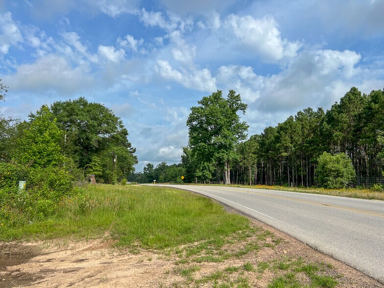 More Photos Of Farm to Market Road 1725, Willis Land For Sale