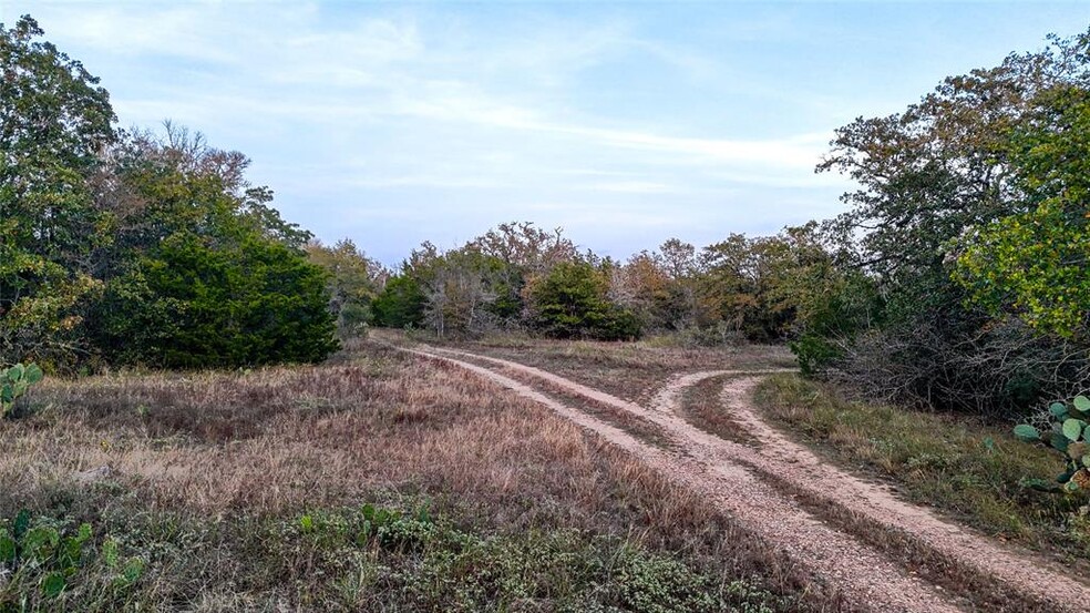 More Photos Of 137 Shady Oaks Loop, Cedar Creek Land For Sale