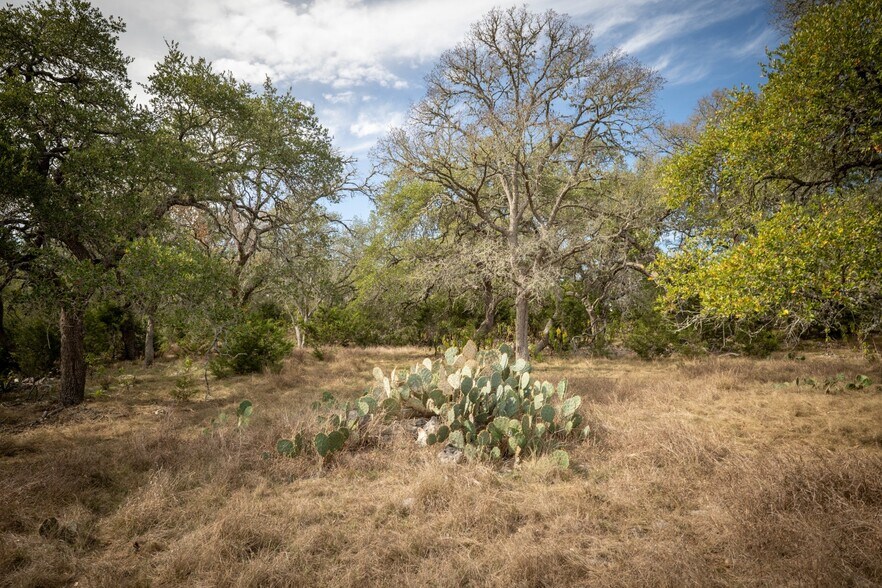 More Photos Of 360 Kirk Ln, Bulverde Land For Sale