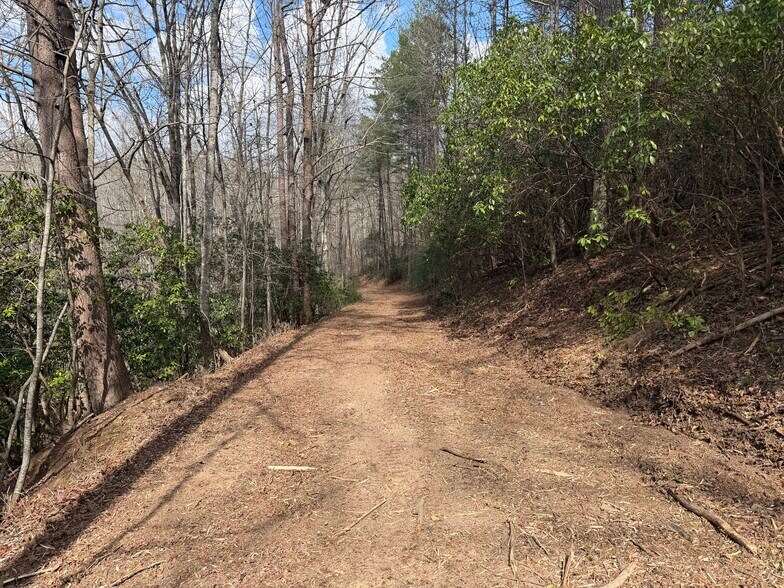 More Photos Of Elliott Family Pky @ Highway 53, Dawsonville Land For Sale