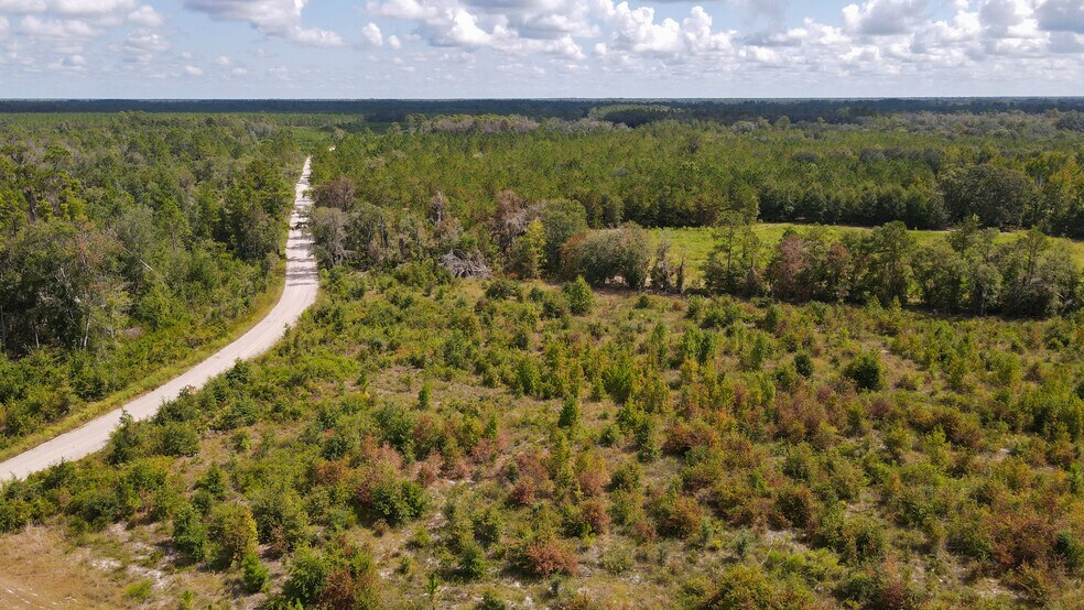 More Photos Of TBD NE 36th Drive Dr, Jasper Land For Sale