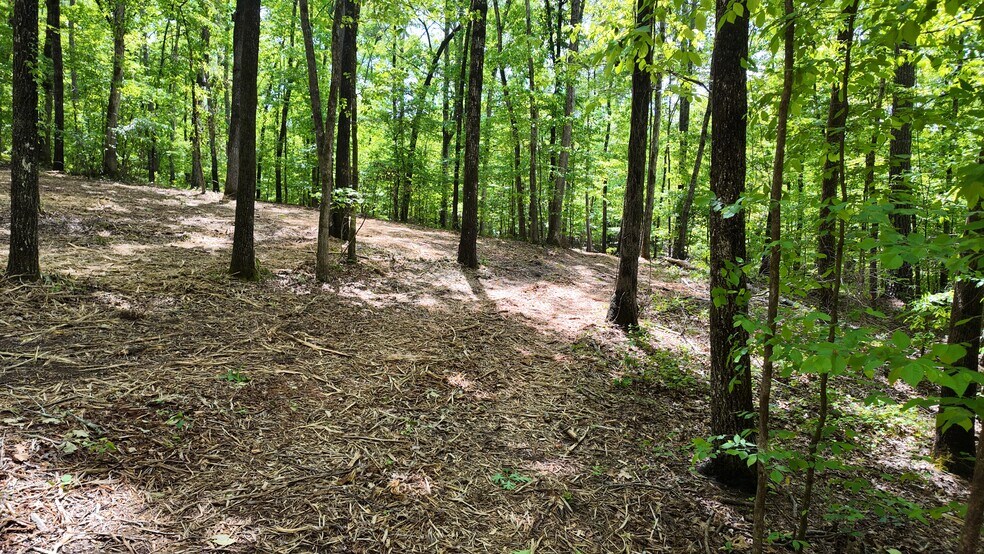 More Photos Of 0 Bullock Bridge Rd, Monroe Land For Sale